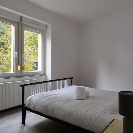 Le Thannois - 2 Chambres, Salon, Cuisine Equipee, Parking Et Wifi Gratuit * Mulhouse