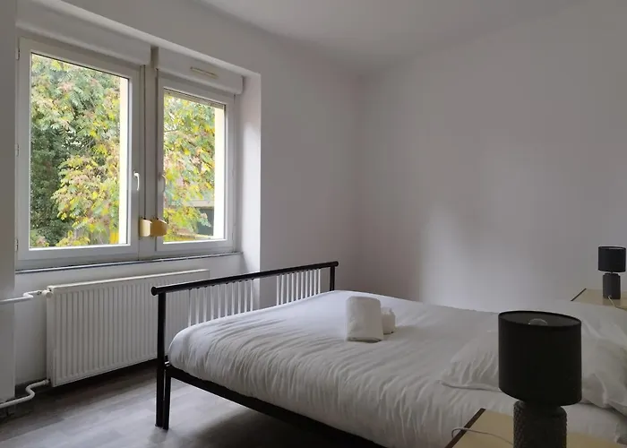 Le Thannois - 2 Chambres, Salon, Cuisine Equipee, Parking Et Wifi Gratuit * Mulhouse