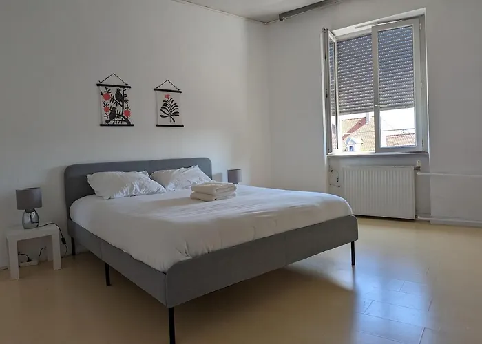 Le Thannois - 2 Chambres, Salon, Cuisine Equipee, Parking Et Wifi Gratuit Appartement Mulhouse